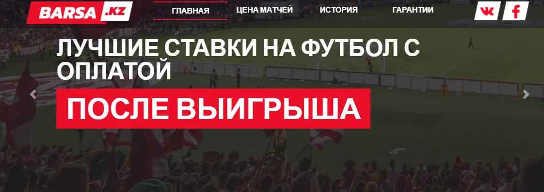 Внешний вид сайта barsa